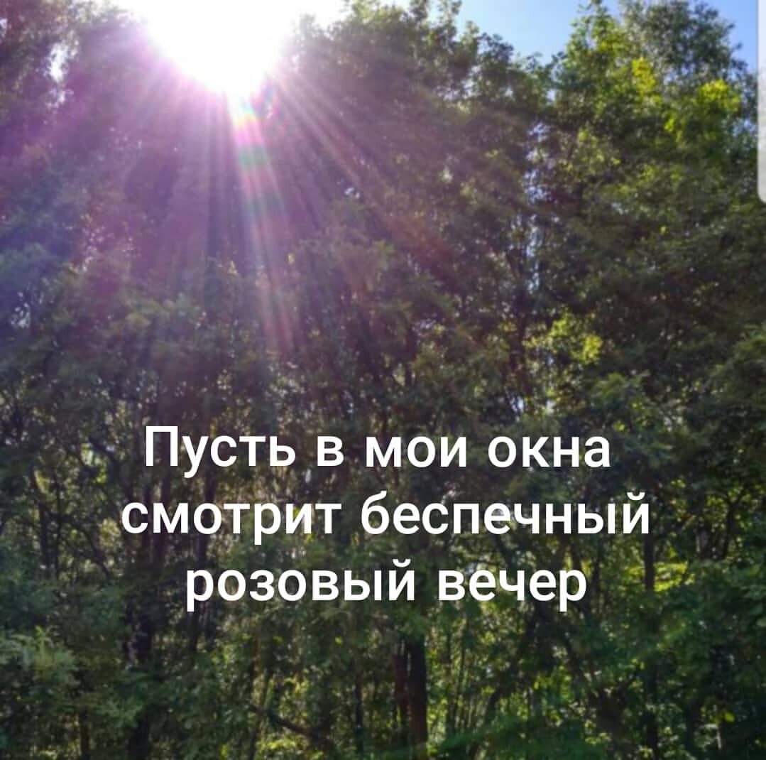 Пусть в твои окна смотрит беспечный розовый вечер | Мамин адвокат | Дзен