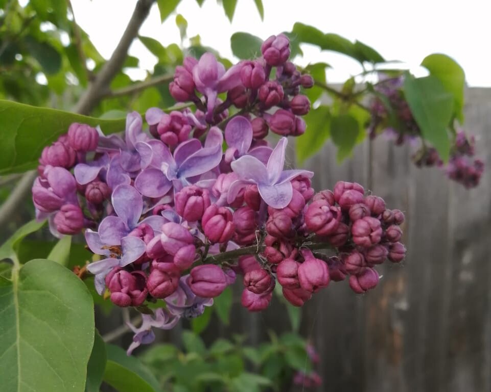 Фото: Козынцева У.