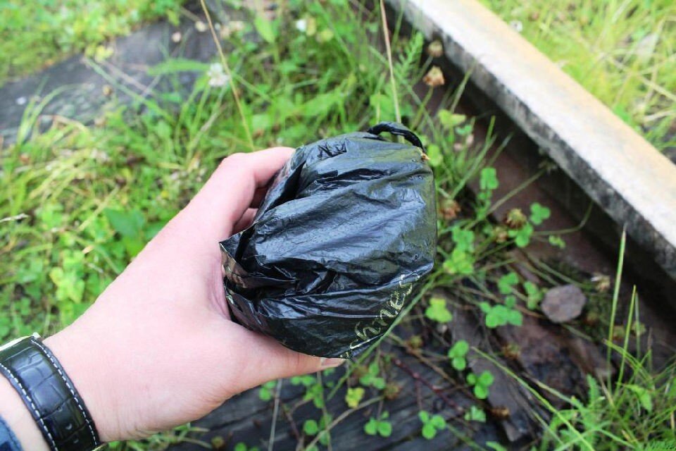     Средства сотовой связи предназначались для передачи осужденным, содержащимся в ИК-17. Фото: УФСИН по Мурманской области
