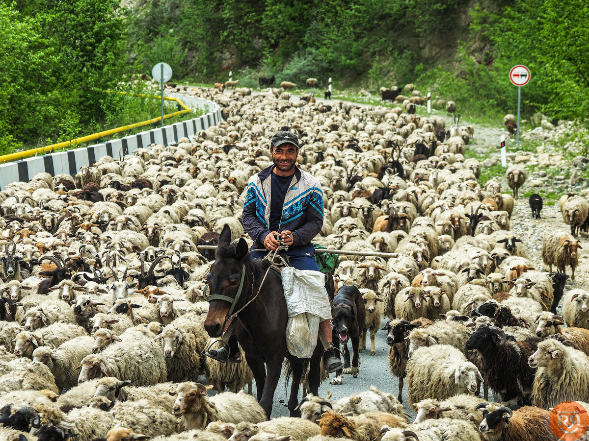 Максим битаров. Северная осетия в апреле. Осетия 2018. Осетия лана плиева. Экология в осетии.