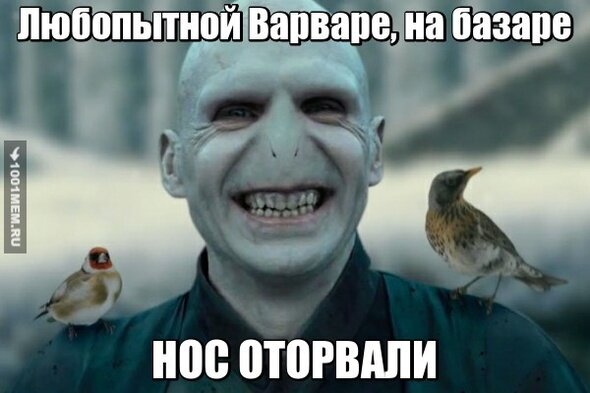Любопытной варваре на базаре нос оторвали картинка