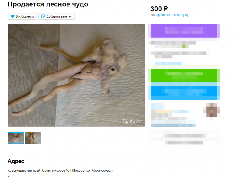 Фото: "Авито"