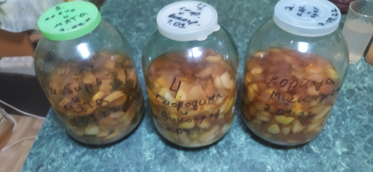 Подопечные )))