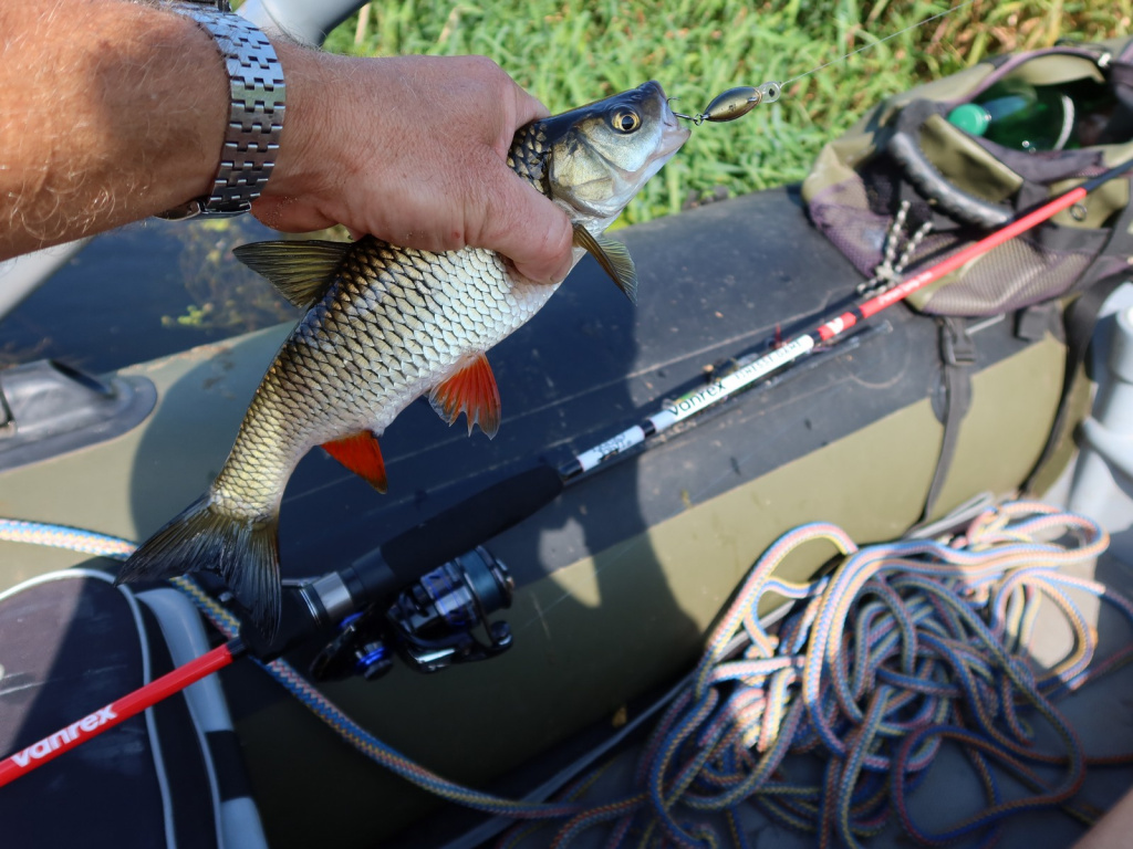 Vanrex micro game. Salmo Elite SPINETIX