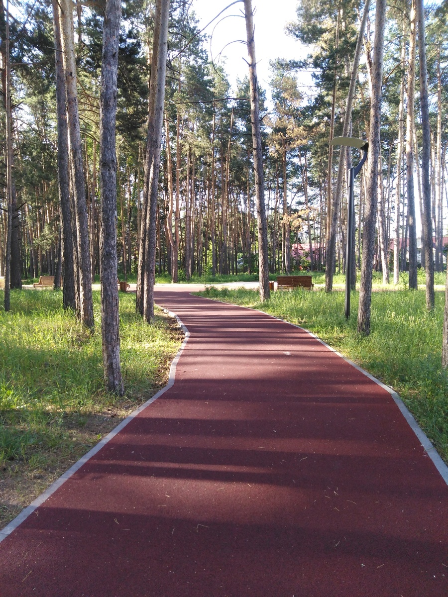 Утренняя красота парка