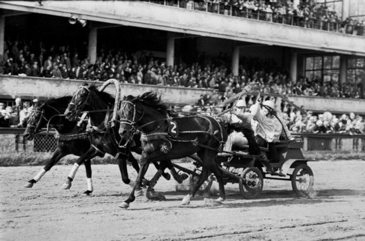 Московский ипподром в СССР