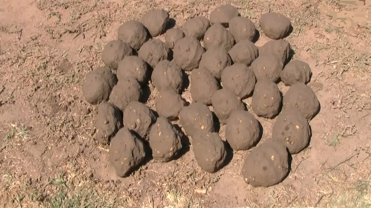 Подписывайтесь на канал и ставьте лайки! 