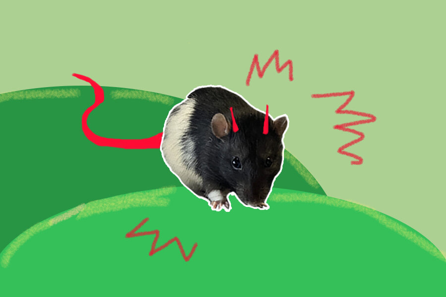 Кракен. Иллюстрация создана авторами канала "Кракен постит"