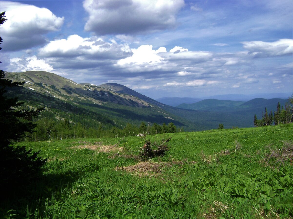 В кузбассе мустаг это гора и