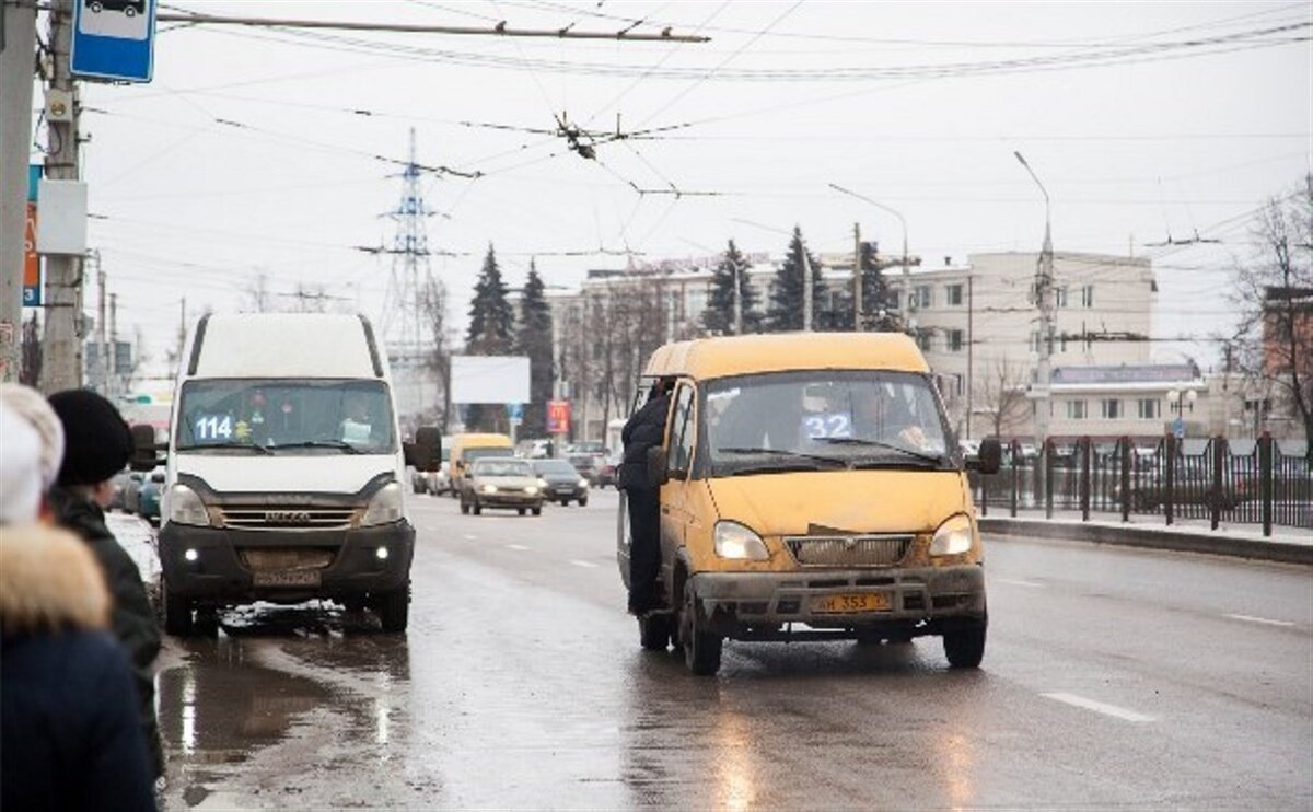 Тульские лайны