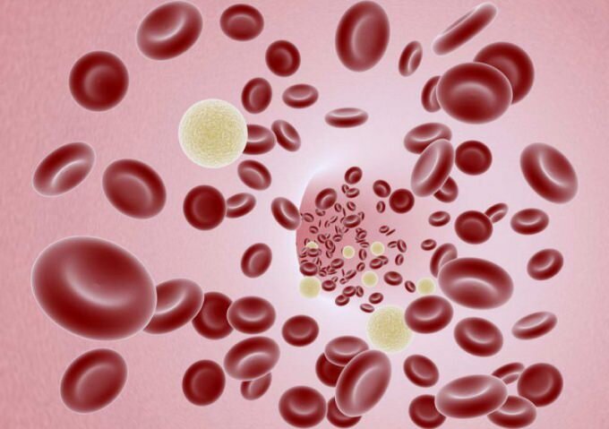 Лейкопения – это термин, относящийся к уменьшению количества лейкоцитов в крови.