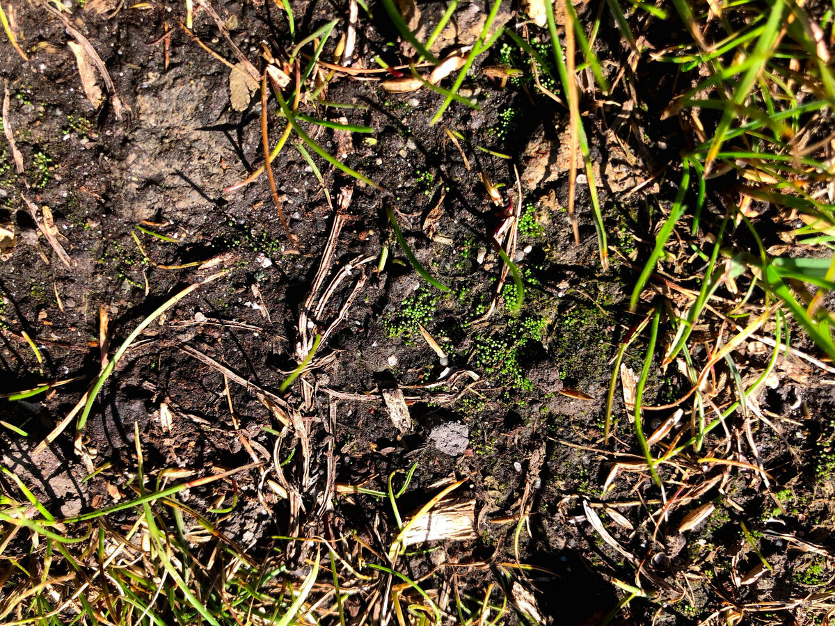 Вот здесь видно