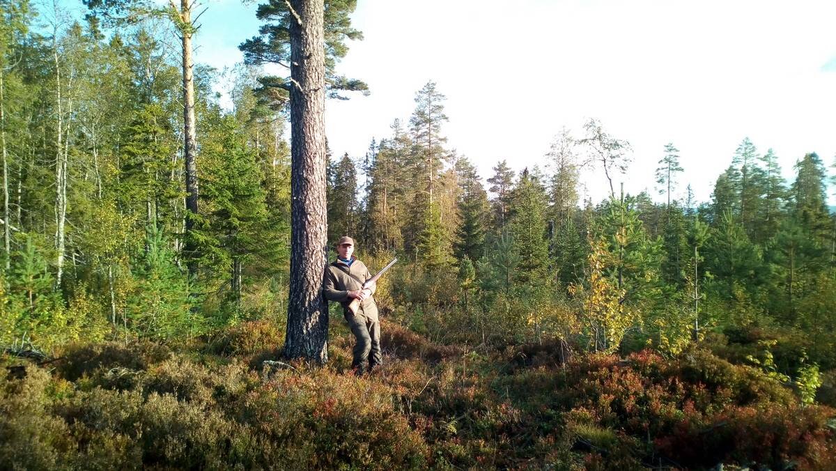 АВТОР СТАТЬИ: ГЕННАДИЙ ИВАНОВ