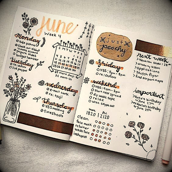 Если хотите, можете украшать дневник различными рисунками, наклейками, дополнительными надписями. Дайте волю воображению)