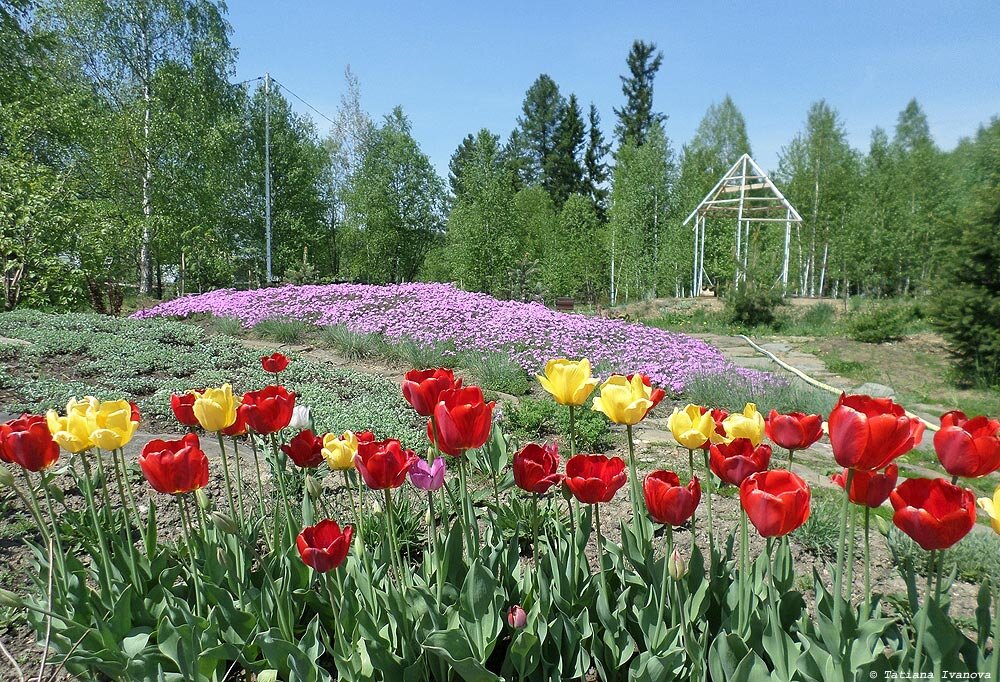 Фото Татьяны Ивановой