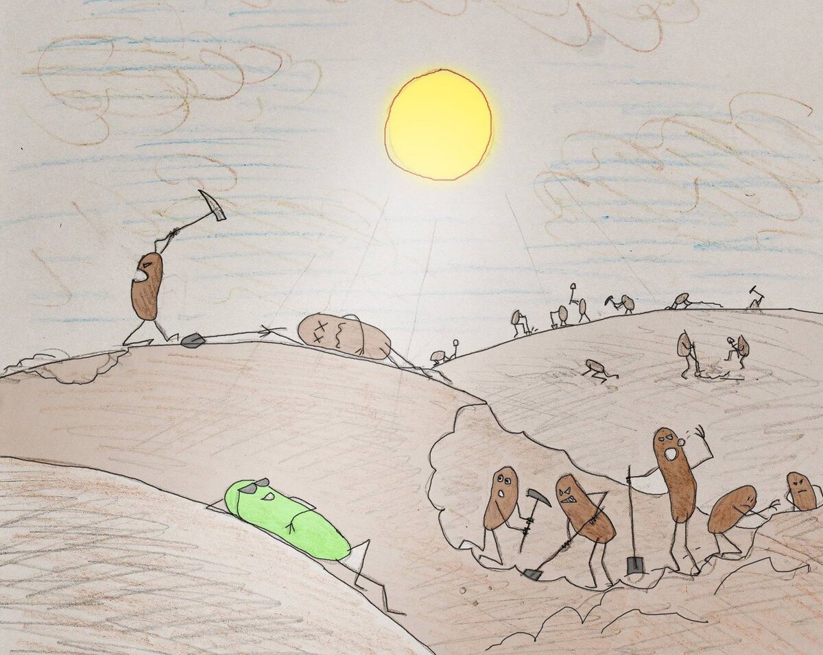 Рис. 1. Цианобактерия кайфует на солнышке