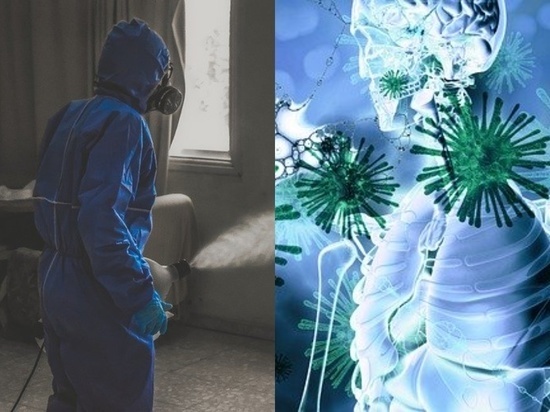 Фото - pixabay.com