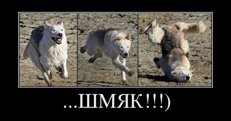 Фото из источника с открытым доступом. 