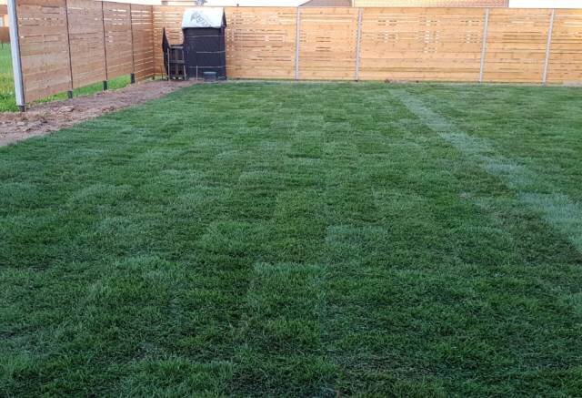 Уложенный на участке рулонный газон