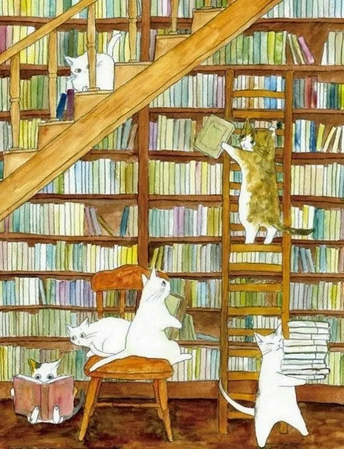 Всегда отдаю предпочтение именно бумажным книгам. От чтения по компьютеру или смартфону  устают глаза. (Фото из открытого источника)