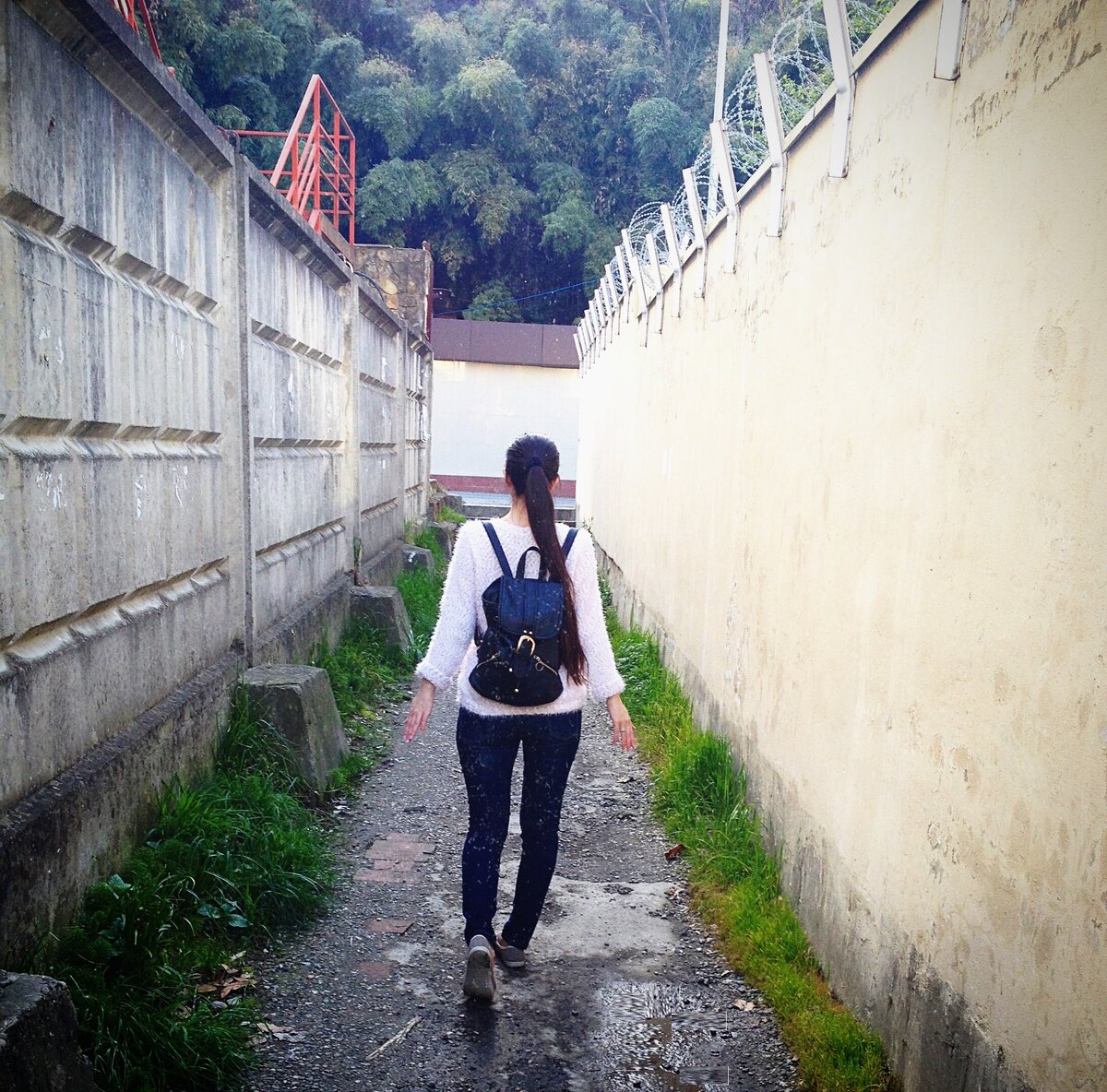 Источник изображений: личное фото автора. г.Сочи,  2016 год