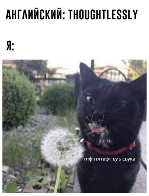 картинка взята из общего доступа