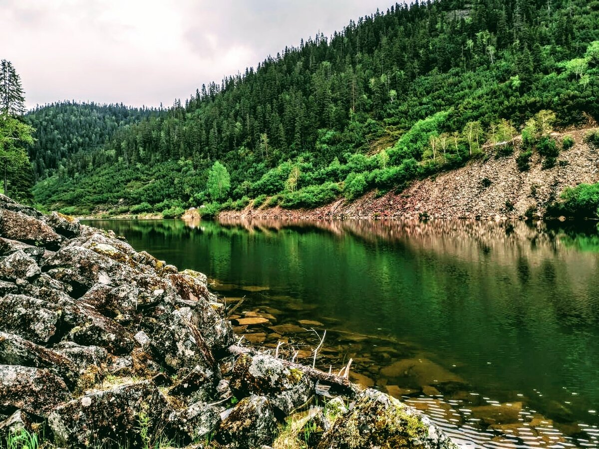 Озеро Амут форель