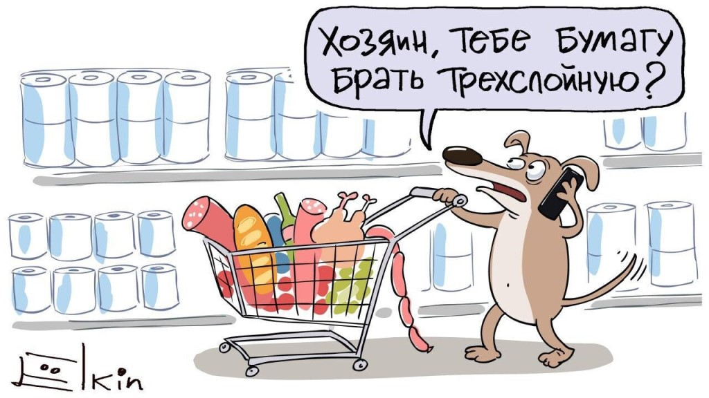 Источник: Пикабу.ру