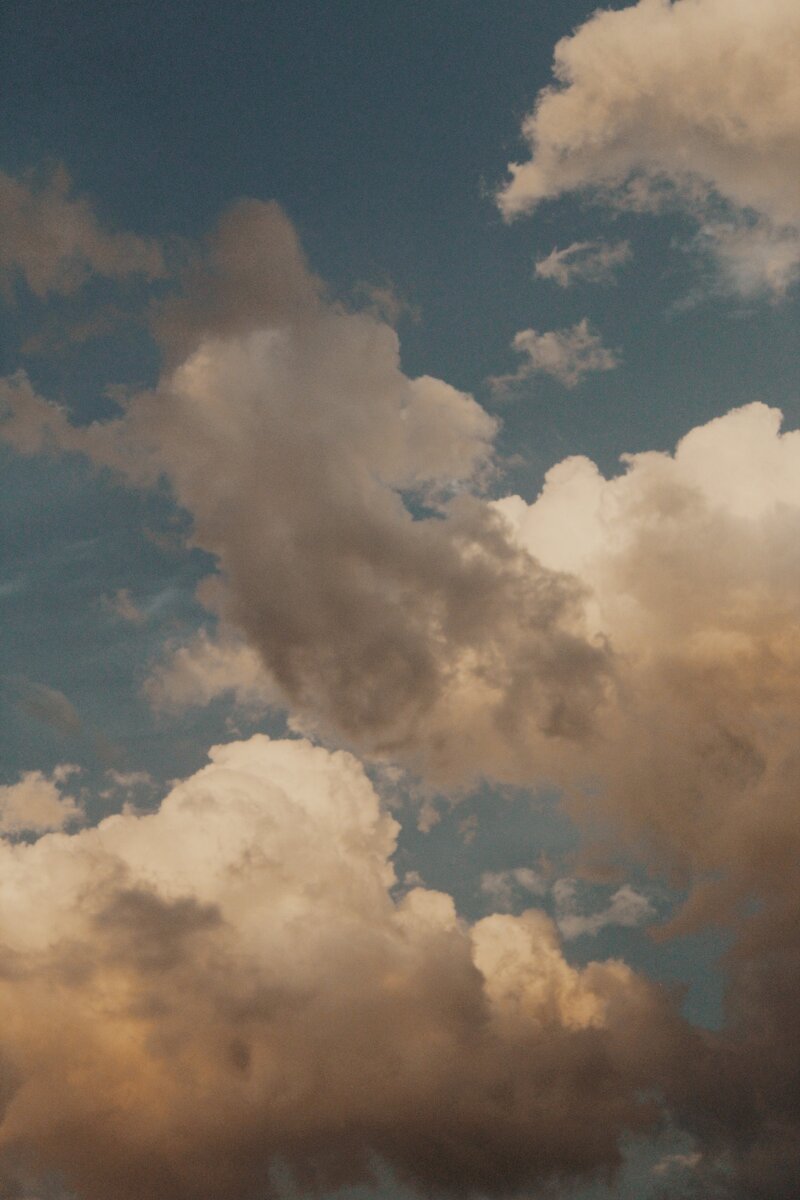 скачано бесплатно без регистрации на https://www.pexels.com/ 