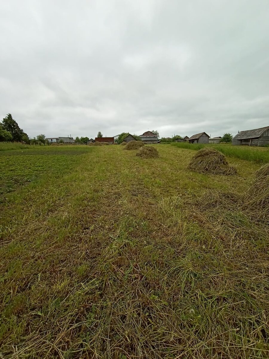 Вот такие небольшие копны