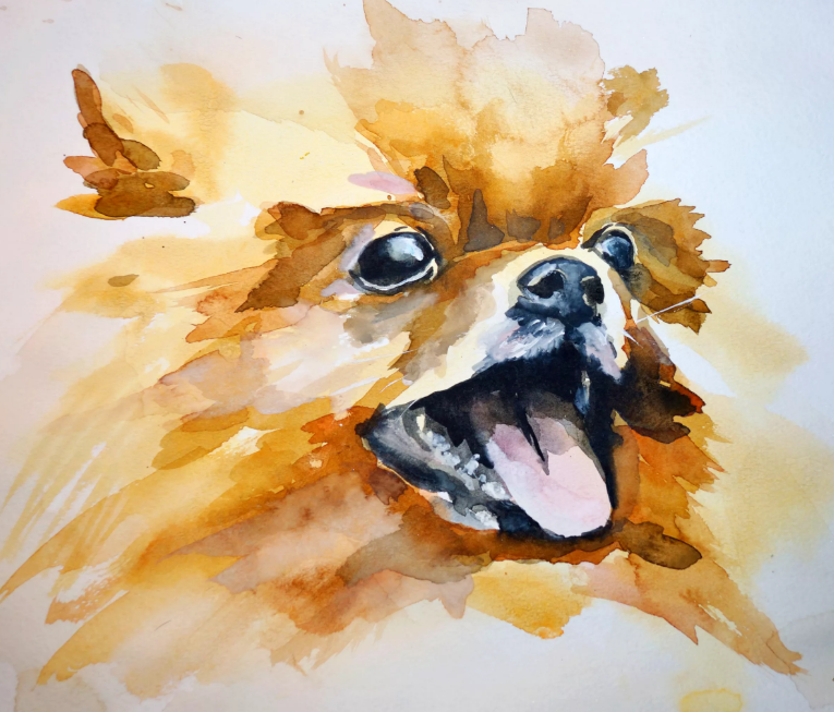 Картинка из интернет