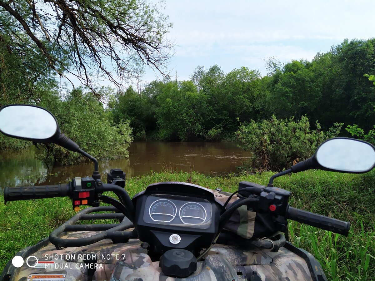 Природа 🌿🍃