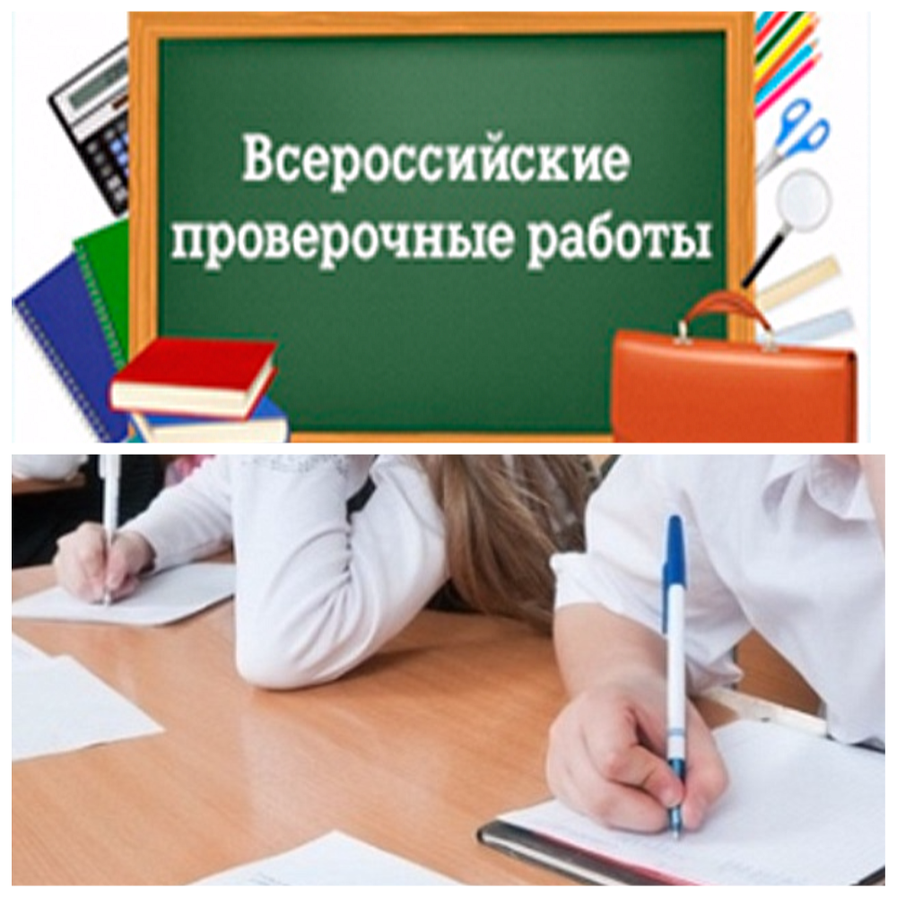 Фото с сайта Яндекс картинки
