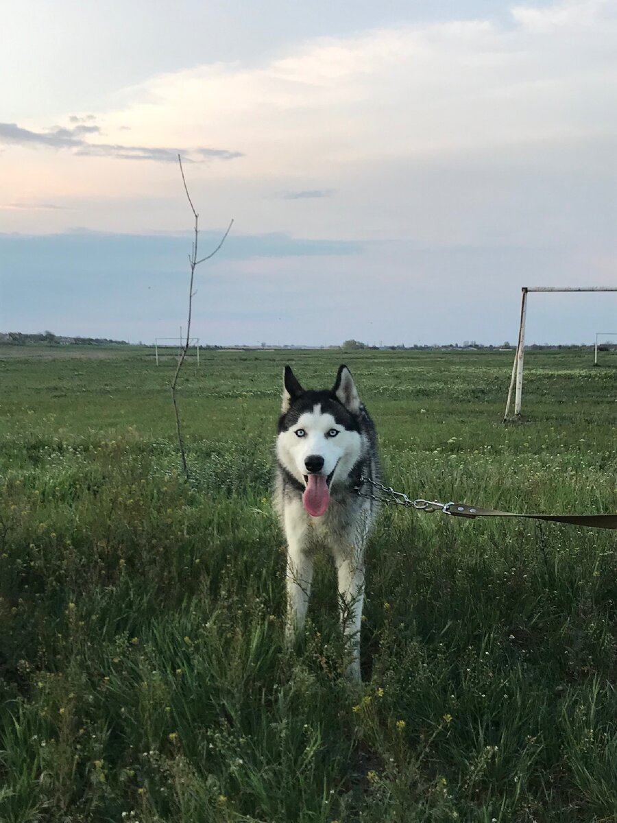 До новых встреч))