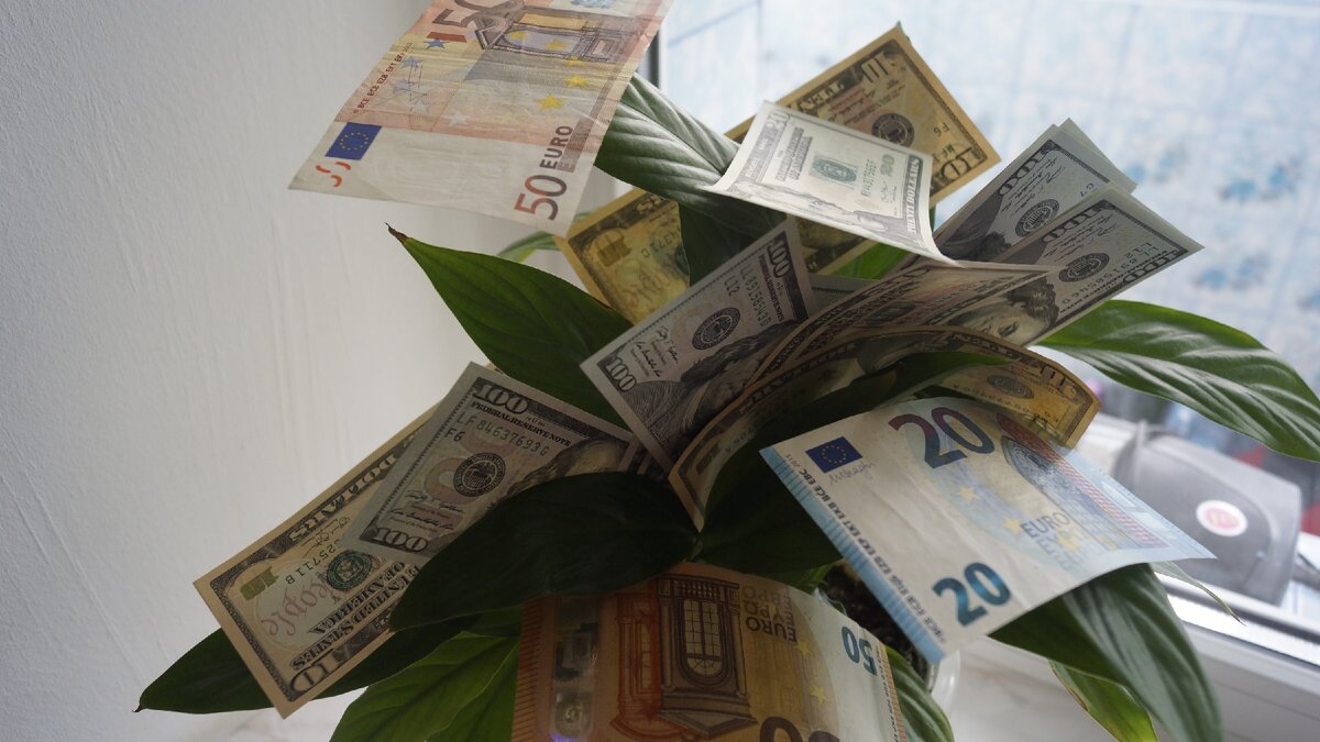 Если бы цветы приносили плоды в виде денежных купюр. 