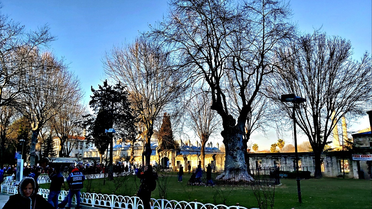 Bu günleri geri yaşacağız