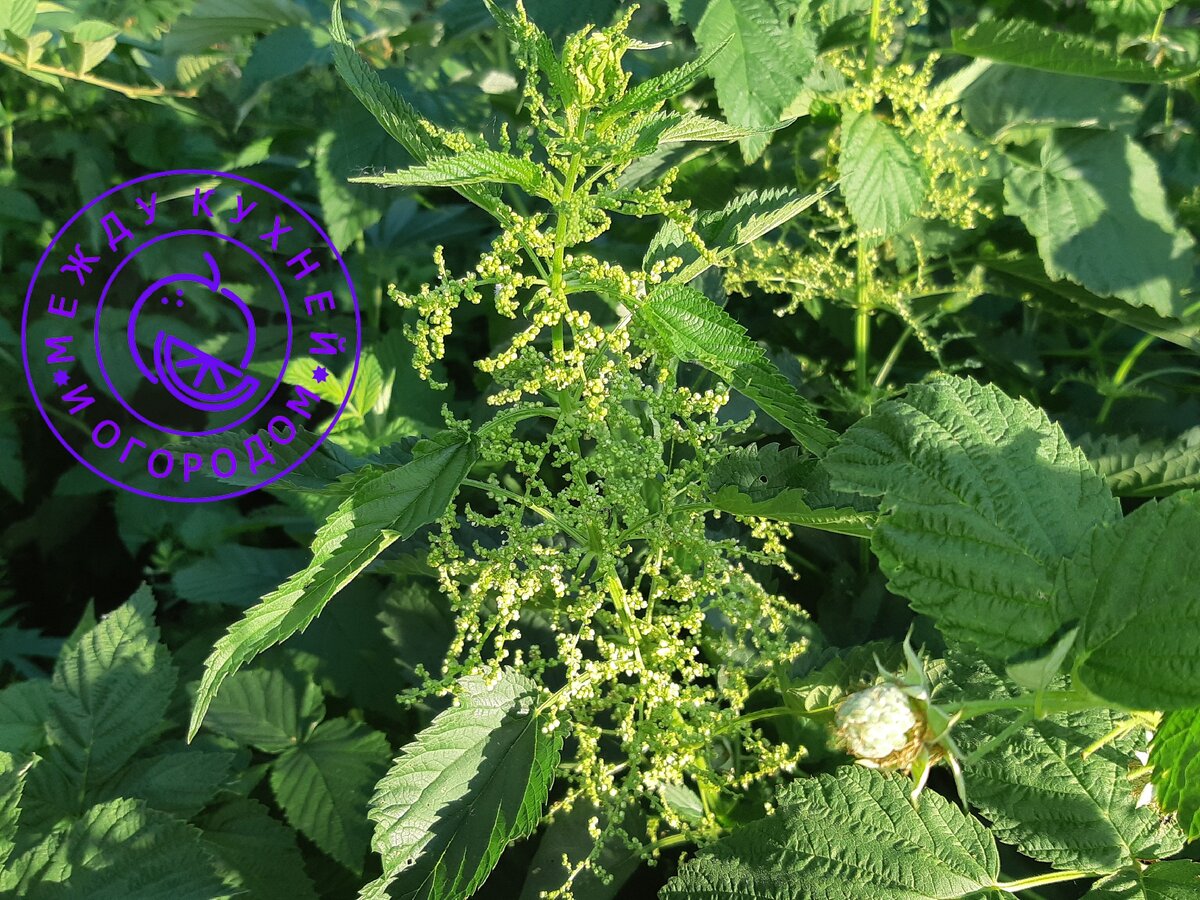 Не забудьте поставить лайк и подписаться на мой канал!