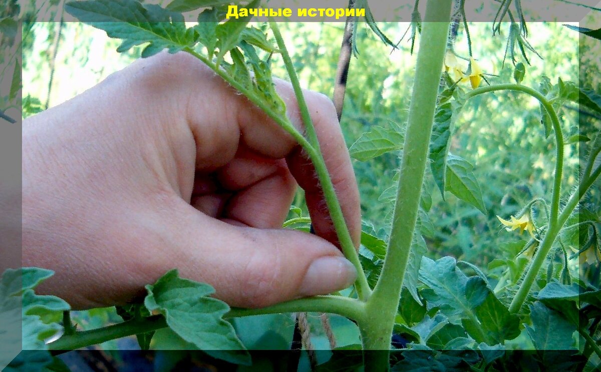 https://vk.com/photo-159774511_457243926