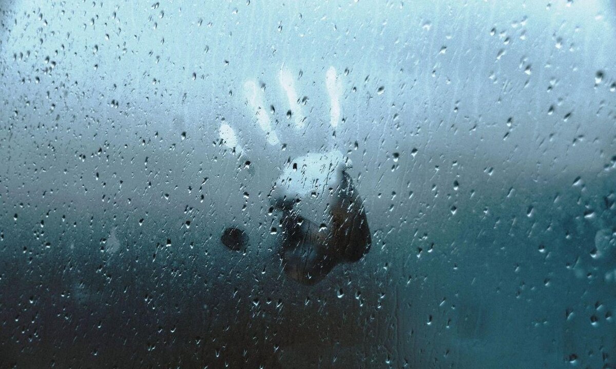 У  дождя много полезных свойств