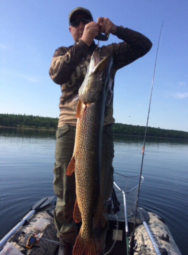 Щука 12 килограммов. Была отпущена