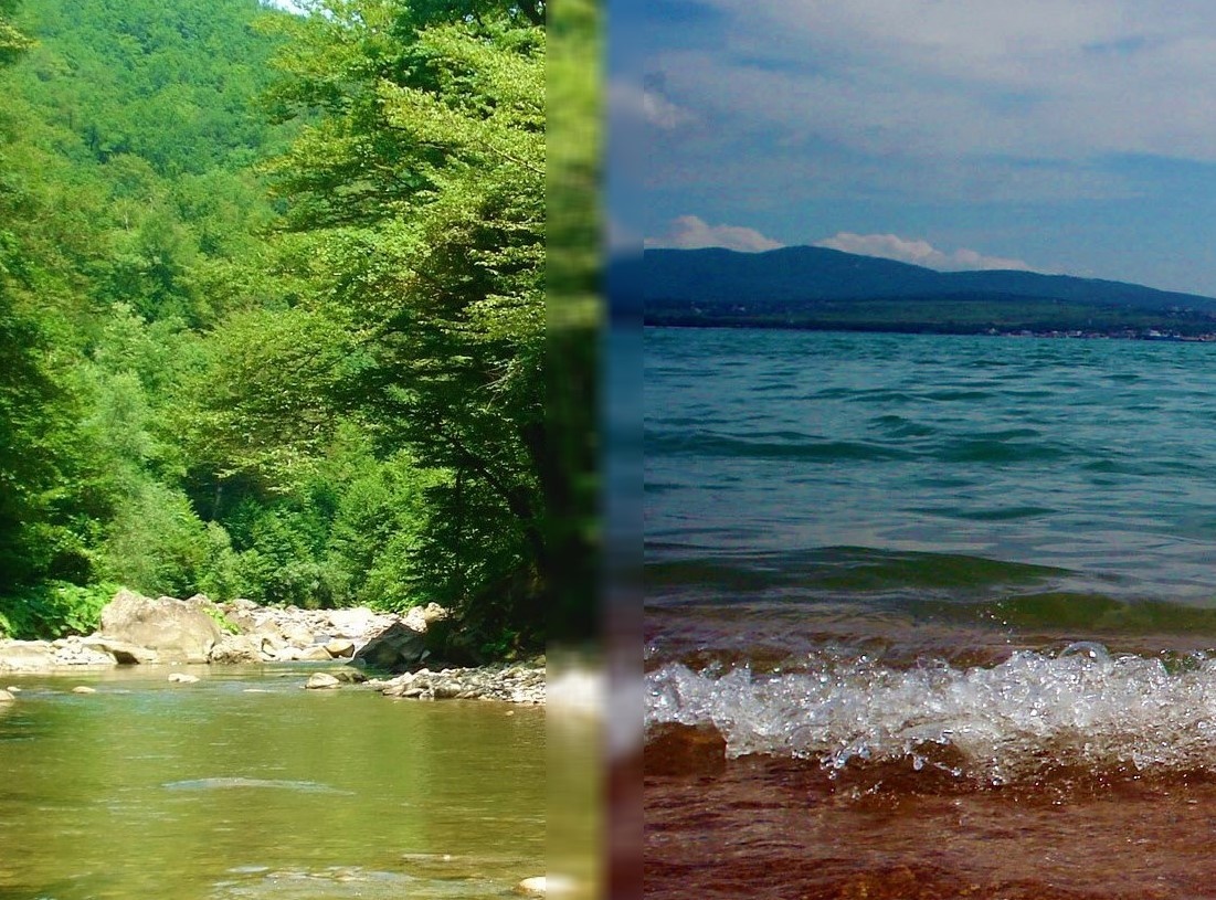 Отдых в горах или на море?