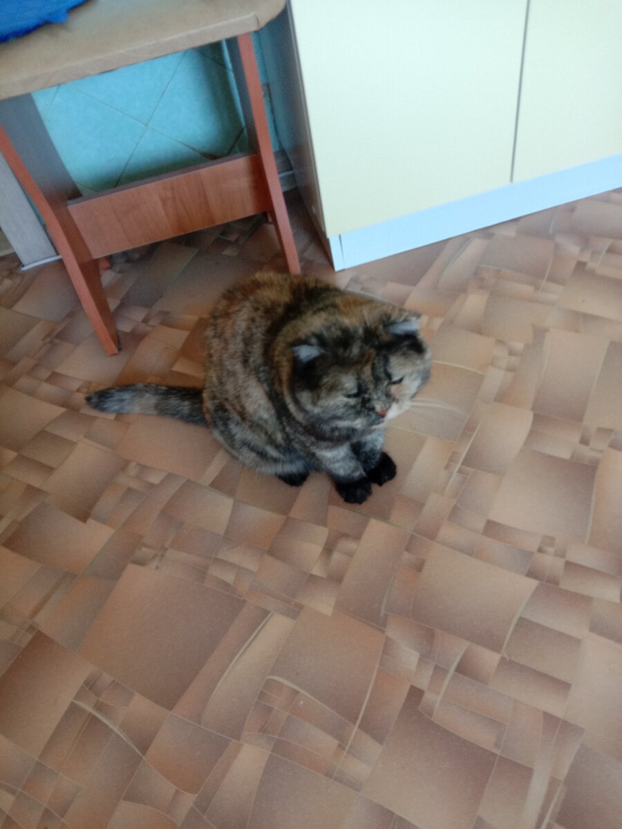 Фото автора. Охранник с лицензией