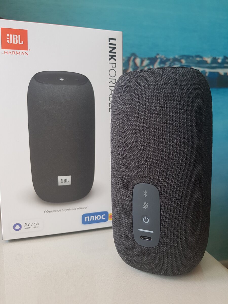 Внешний вид JBL Link Portable