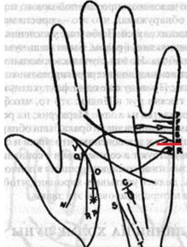 Как правильно прочитать судьбу по ладони