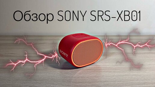 Sony srs hot sale xb01 review