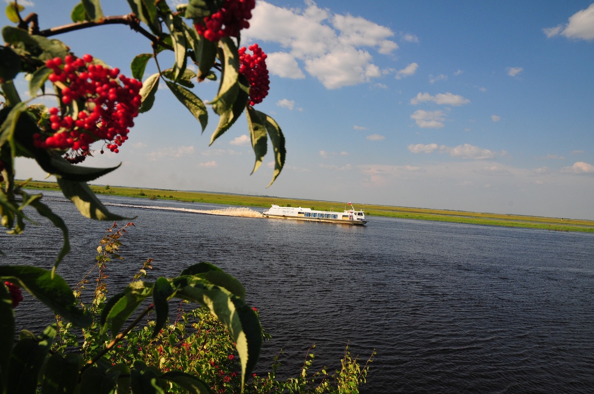 на Заре к счастью