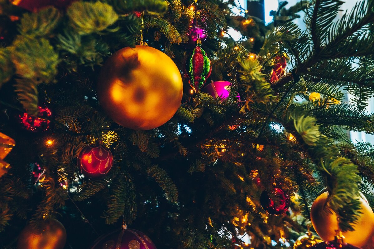 Photo by Tina Vanhove on Unsplash
