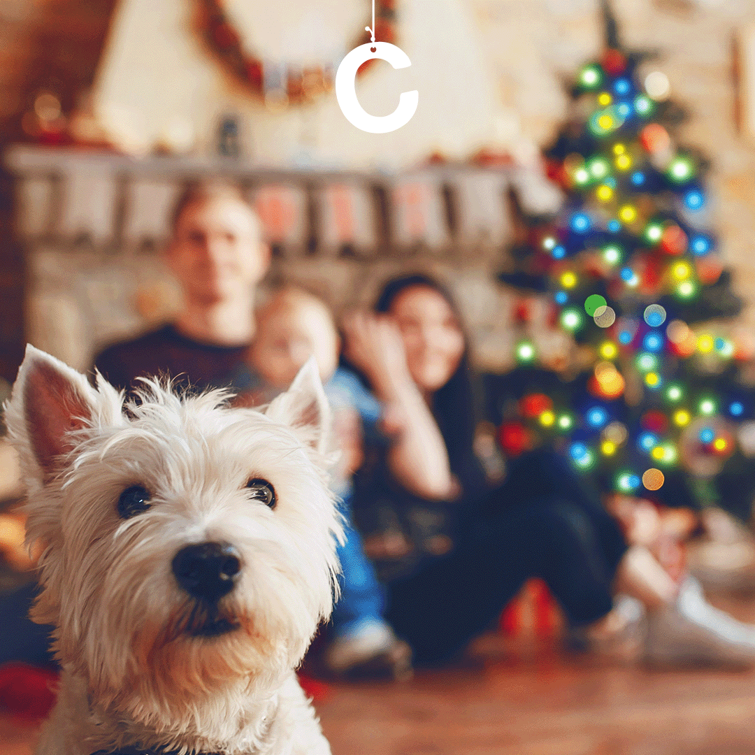 Анимированная открытка