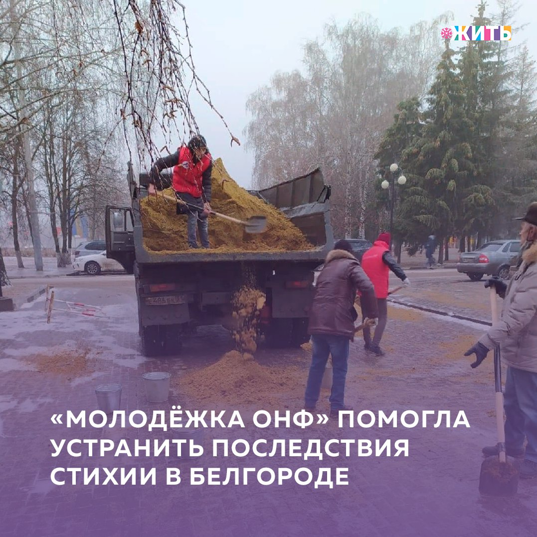 Уже несколько дней Белгородская область пытается справиться со следами непогоды. В ночь с субботы на воскресенье в регионе начался ледяной дождь. Тротуары и дороги покрылись обледенелой коркой. Коммунальные службы Белгорода работали в две смены: днем и ночью. На помощь коммунальщикам вышли учителя, спортсмены, волонтеры, сотрудники администрации, неравнодушные жители🧍‍♀ 
Участники белгородской «Молодёжки ОНФ» не остались в стороне. Как только администрация объявила сбор жителей для борьбы с гололедом, они подключились к обработке улиц песчаной смесью.

Совместными усилиями ситуацию удалось стабилизировать. Взаимодействуя с коммунальными службами и добровольцами от педагогического сообщества, ребята отсыпали песчаной смесью улицу Королева. Работа заняла несколько часов. По словам участников команды, в выходные в городе было настолько скользко, что некоторые белгородцы надели коньки🎿

Как приятно, что даже в таких вопросах, ребята не остаются равнодушными, помогая сделать жизнь граждан своего города чуточку лучше🙏🏻

#жить #проектжить #молодежкаОНФ
