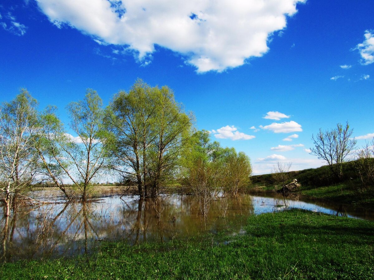 Верхние Чебеньки, Сакмарский район, Оренбургская область / Фото https://vk.com/public179486924